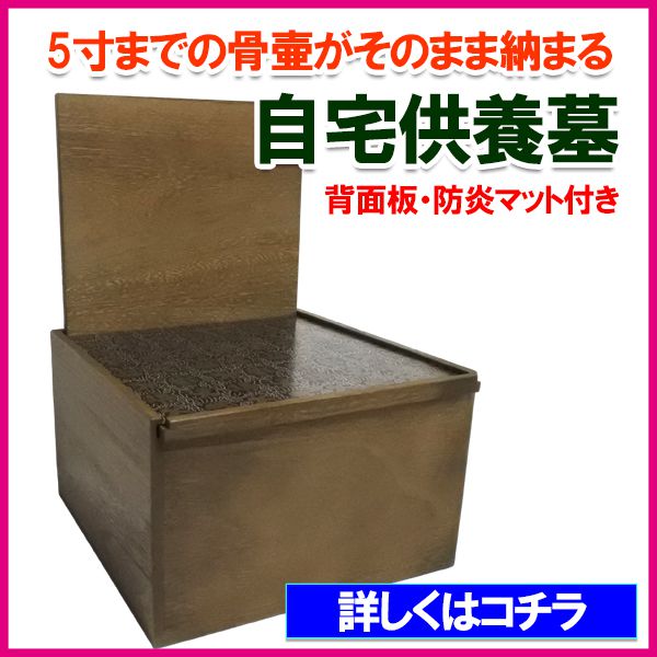 Zbg1