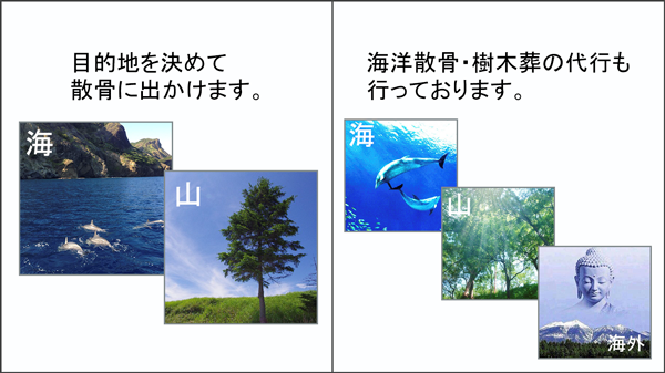 乾燥