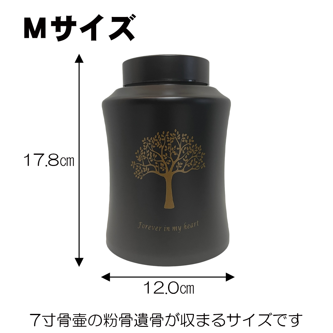  XeX@@