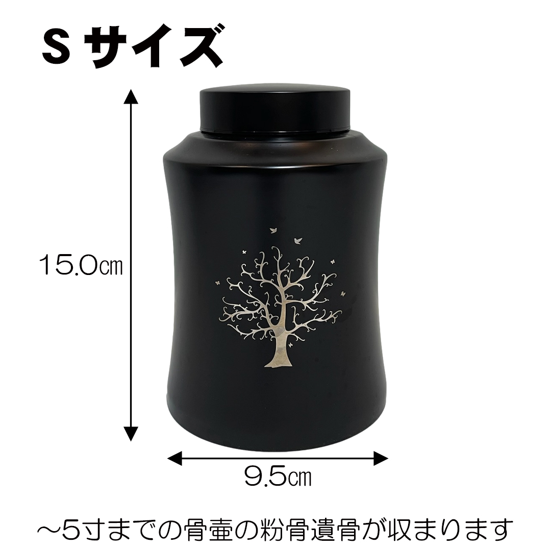  XeX@@