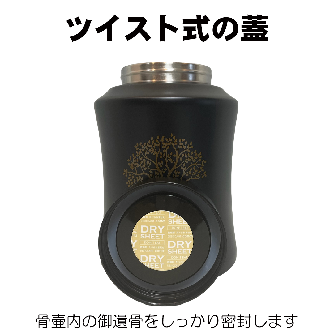  XeX@@